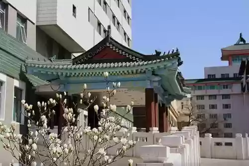 国内十大耳鼻喉医院(北京十大耳鼻喉科排名)插图2