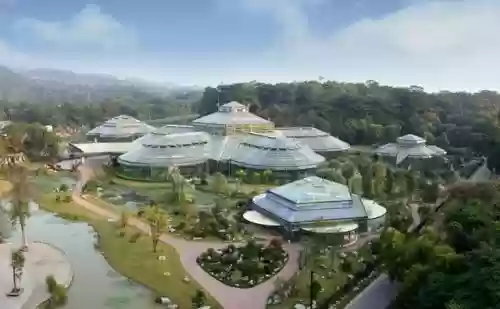 广州十大景区(广州好玩的地方排行榜)插图10