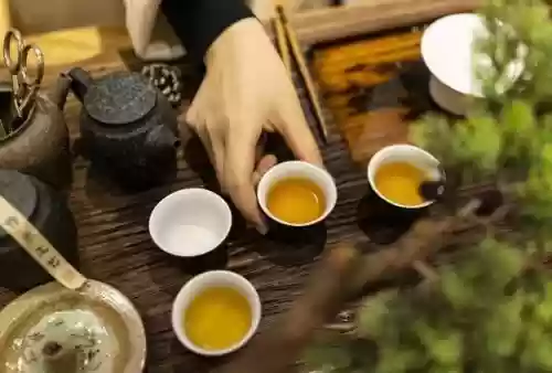 中医十大体质(中医9大体质都是哪几种)插图4 中医十大体质(中医9大体质都是哪几种)插图4