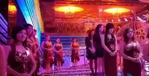 皇家一号十大头牌照片(皇家一号在哪个位置)插图4