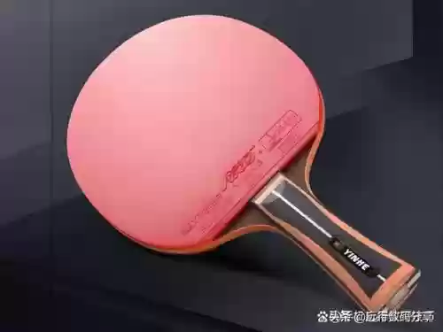十大乒乓球(世界女乒排名前十名)插图8
