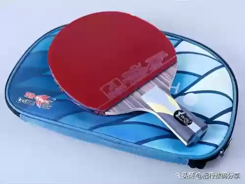 十大乒乓球(世界女乒排名前十名)插图6