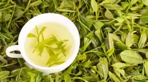 中医十大体质(中医9大体质都是哪几种)插图17 中医十大体质(中医9大体质都是哪几种)插图17