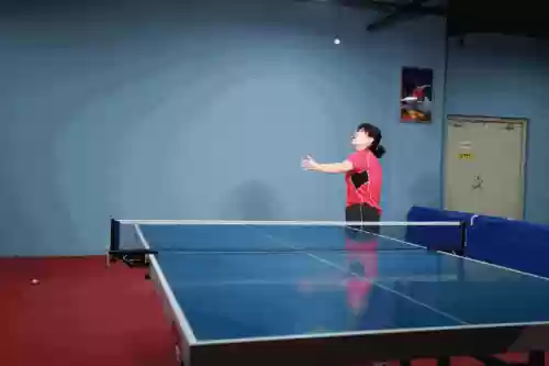 十大乒乓球(世界女乒排名前十名)插图13