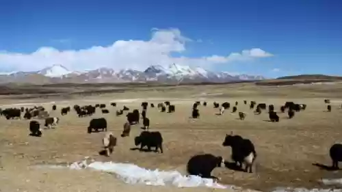 十大最美情歌联唱简谱(中国十大最美海岛)插图2