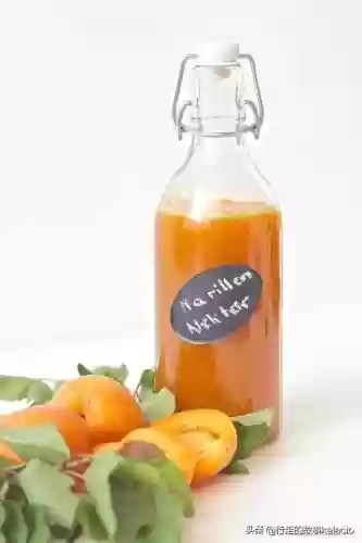 约瑟夫十大特产(奥地利 约瑟夫)插图3