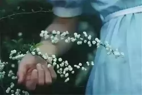 中国十大美景十首诗歌(十首山水诗)插图8