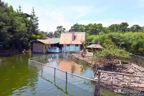 全国十大农家乐(金殿后山农家乐排行榜)插图29