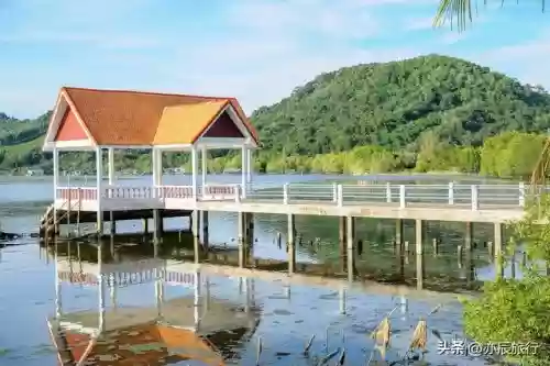 全国十大农家乐(金殿后山农家乐排行榜)插图10