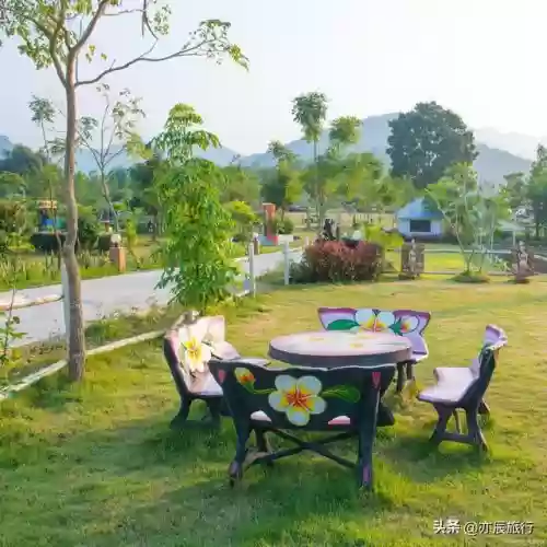 全国十大农家乐(金殿后山农家乐排行榜)插图25