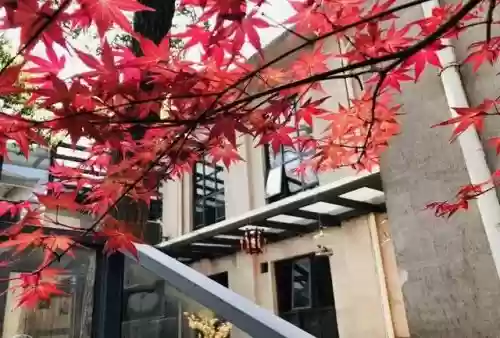 长沙庭院餐厅十大(长沙特色餐厅)插图19