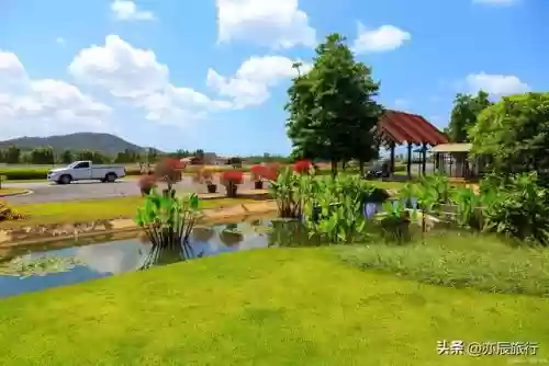 全国十大农家乐(金殿后山农家乐排行榜)插图21