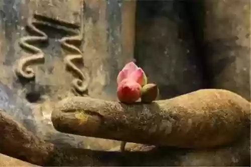 中国十大美景十首诗歌(十首山水诗)插图3