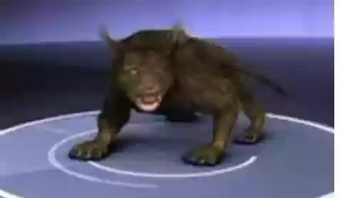 世界十大恐怖怪物(十大怪异动物)