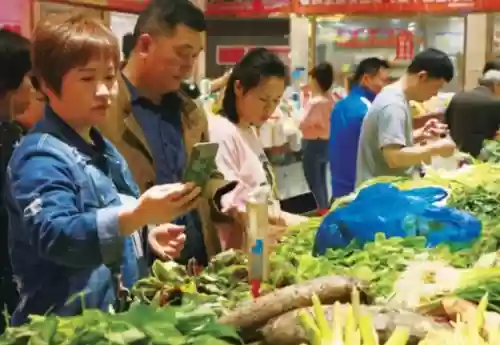 十大新型蔬菜(现在可种的蔬菜有哪些)插图