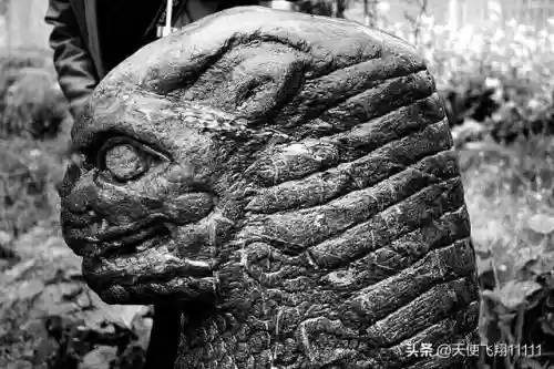 西方十大最强神兽(山海经神兽大全排名)插图6