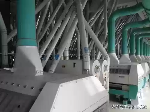 粘茬子十大品牌(东北粘玉米哪个牌子好吃)插图