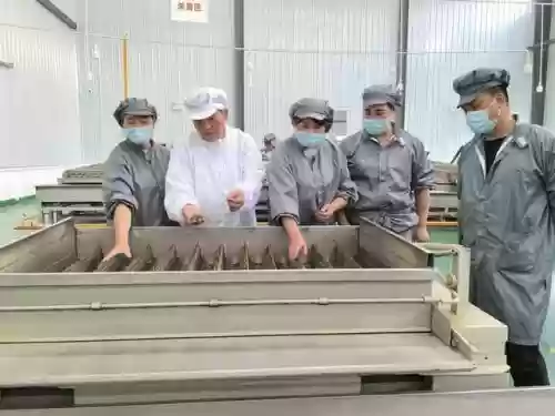 全国十大农业致富人吴锋(农业创业项目农村致富项目)插图2