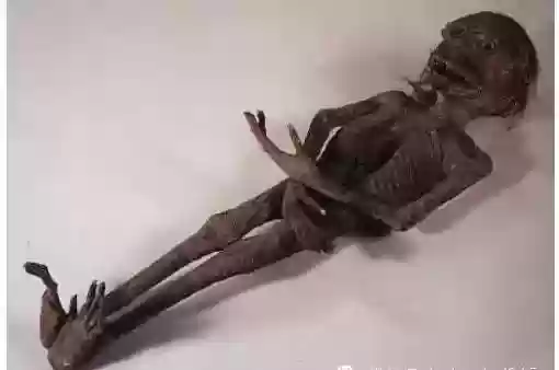 世界十大恐怖怪物(十大怪异动物)插图