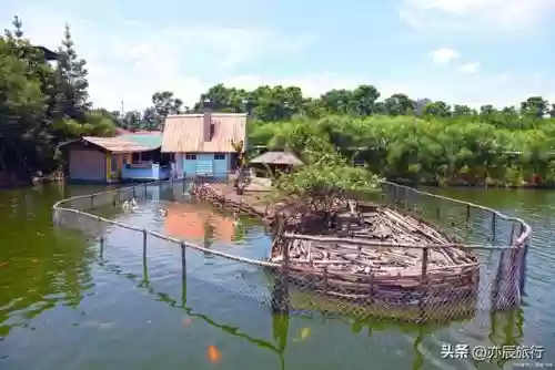 全国十大农家乐(金殿后山农家乐排行榜)插图24