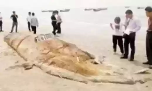 世界十大恐怖怪物(十大怪异动物)插图9