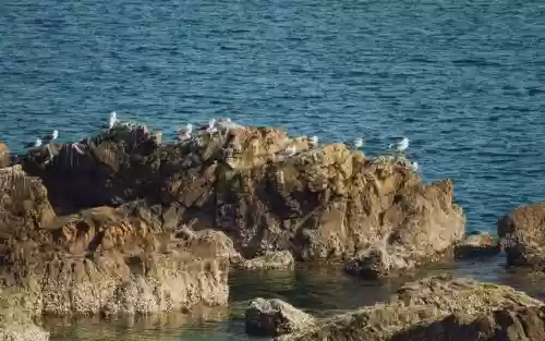 大连十大旅游景点(大连哪里好玩)插图7