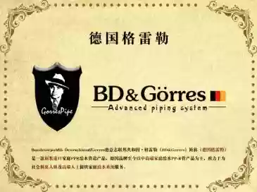 十大正宗进口管道(进口水管排名)