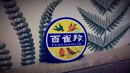 中国十大化妆品牌排名(中国的十大化妆品品牌有哪些)插图17