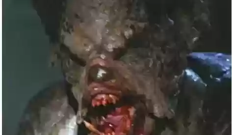 世界十大恐怖怪物(十大怪异动物)插图17