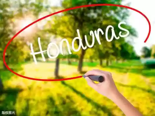 世界十大咖啡种植国家(十大咖啡生产国)插图7