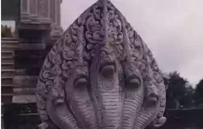 世界十大恐怖怪物(十大怪异动物)插图5