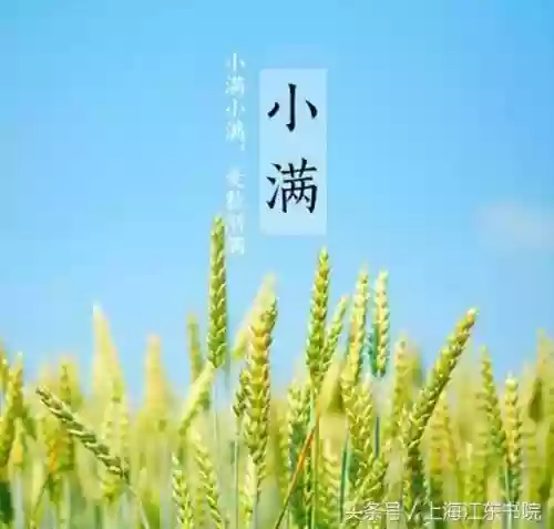 十大小满古诗(小满节气吃什么食物养生)插图