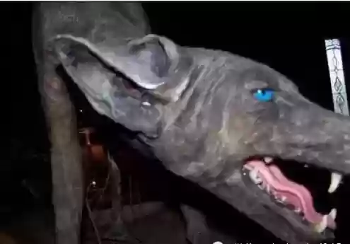 世界十大恐怖怪物(十大怪异动物)插图13