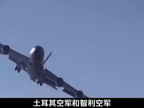 美国十大热门物品(美国热销产品排行榜)插图4