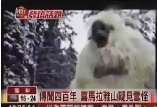 世界十大恐怖怪物(十大怪异动物)插图16