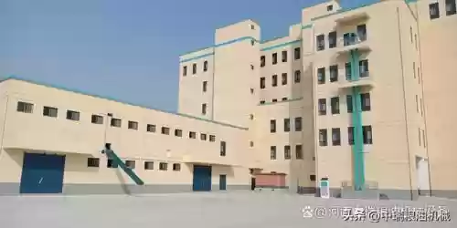 粘茬子十大品牌(东北粘玉米哪个牌子好吃)