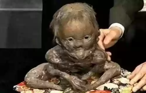 世界十大恐怖怪物(十大怪异动物)插图1