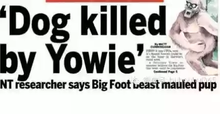 世界十大恐怖怪物(十大怪异动物)插图12