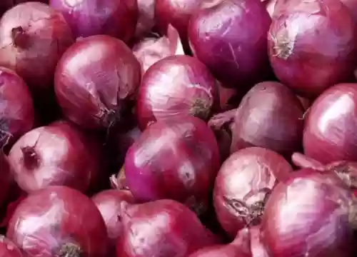 十大新型蔬菜(现在可种的蔬菜有哪些)插图4