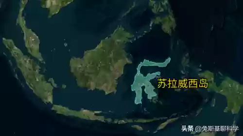 世界十大岛屿排名榜(上海展览展示的公司排名)插图12