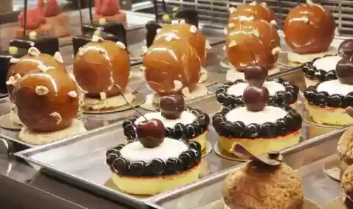 中国十大厨师学校(学厨师最好的学校)插图34