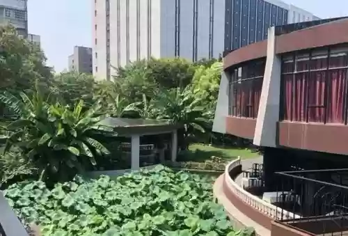 长沙庭院餐厅十大(长沙特色餐厅)插图15