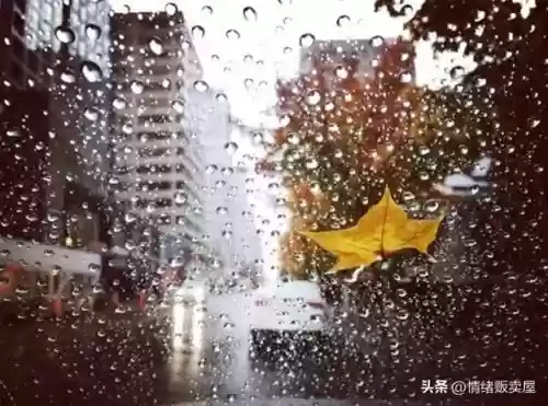 结婚十大游戏问答(结婚的游戏)