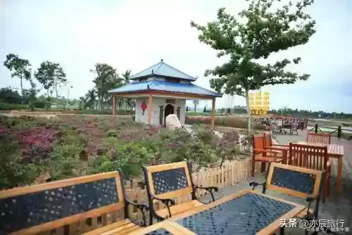 全国十大农家乐(金殿后山农家乐排行榜)插图19