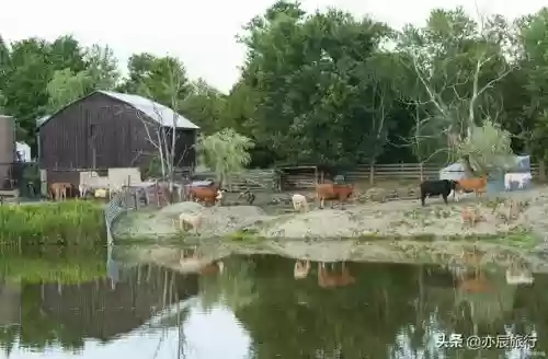 全国十大农家乐(金殿后山农家乐排行榜)插图33