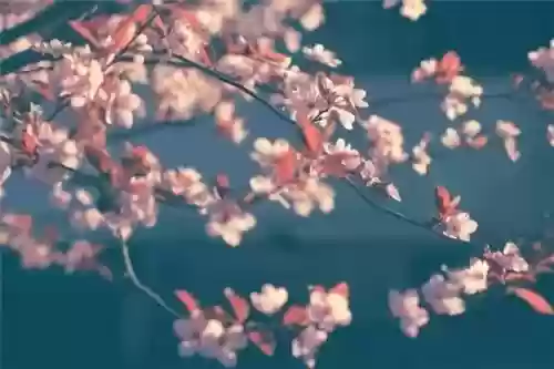 中国十大美景十首诗歌(十首山水诗)插图5