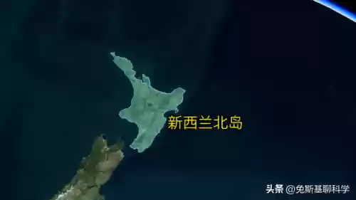 世界十大岛屿排名榜(上海展览展示的公司排名)插图15