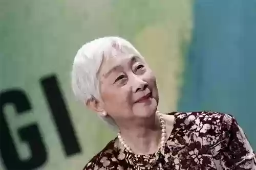 红楼梦杨洋版阵容配置(离吞吞阵容配置要求)插图6