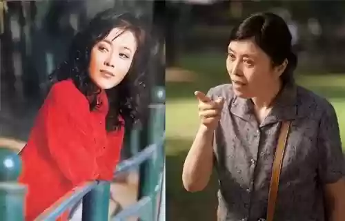 红楼梦杨洋版阵容配置(离吞吞阵容配置要求)插图8