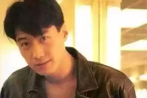 香港歌手最佳阵容是谁(香港十大歌手排名)插图11